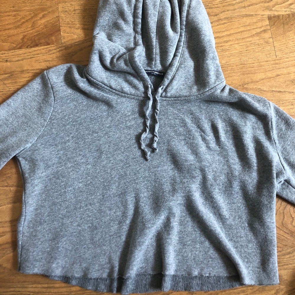 Brandy Melville Cropped hoodie